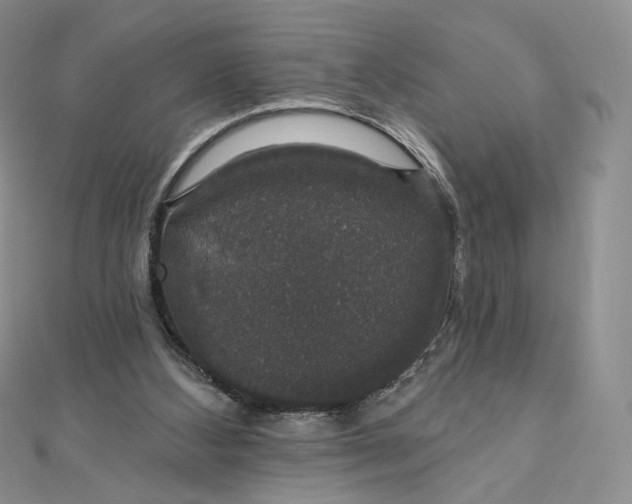 X0000111800108200908061207