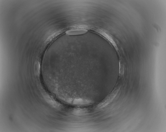 X0000111800109200908061207