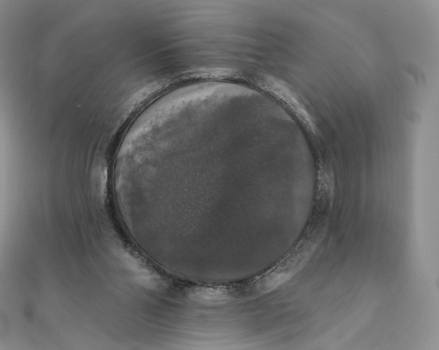 X0000111800110200908061207
