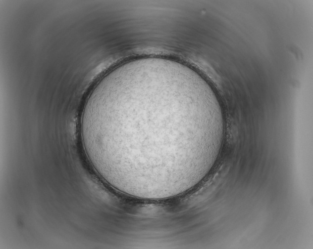 X0000111800111200908061207