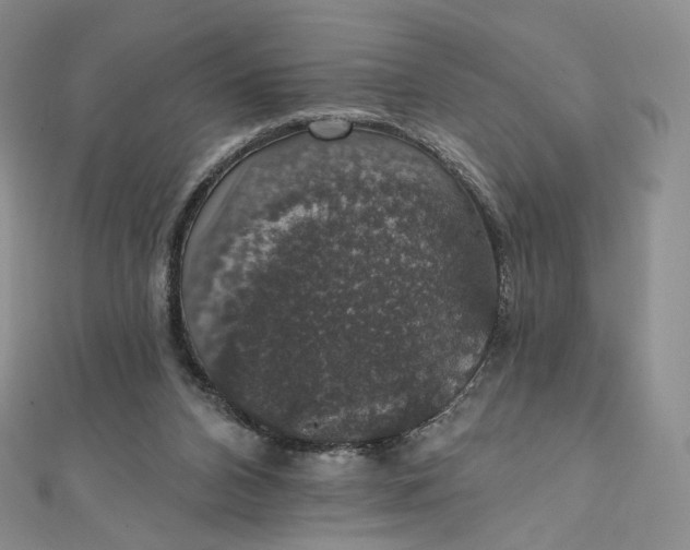 X0000111800112200908061207