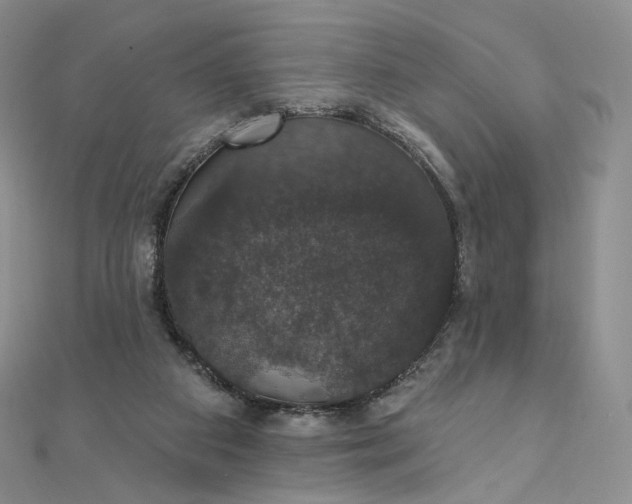 X0000111800113200908061207