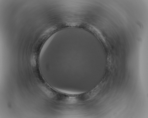 X0000111800114200908061206