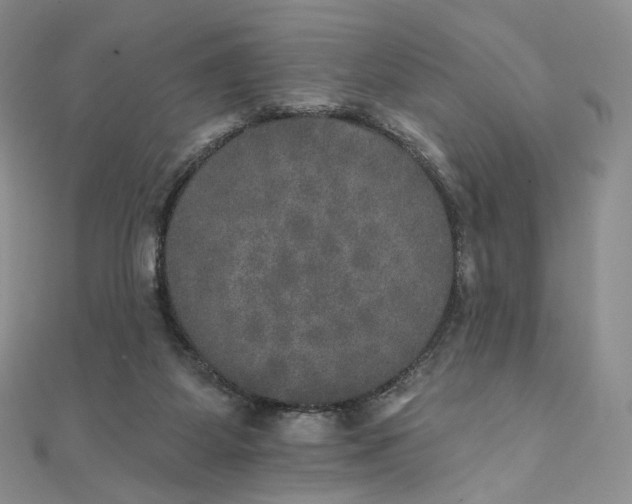 X0000111800115200908061206