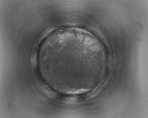 X0000111800116200908061206