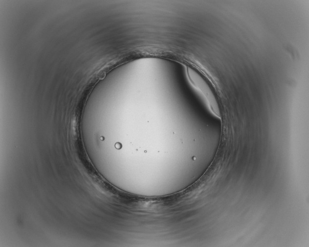 X0000111800117200908061206