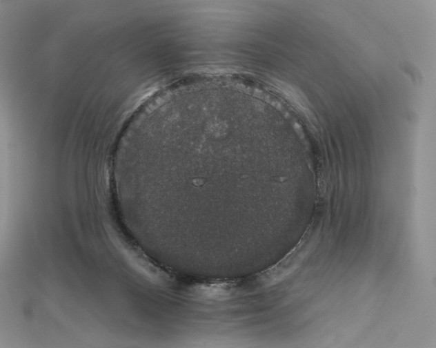 X0000111800120200908061206