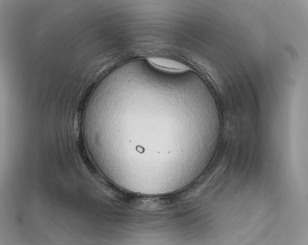 X0000111800121200908061206