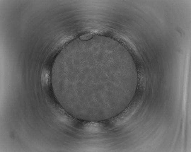 X0000111800123200908061206
