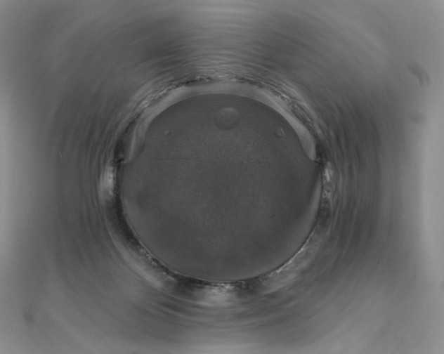 X0000111800124200908061206