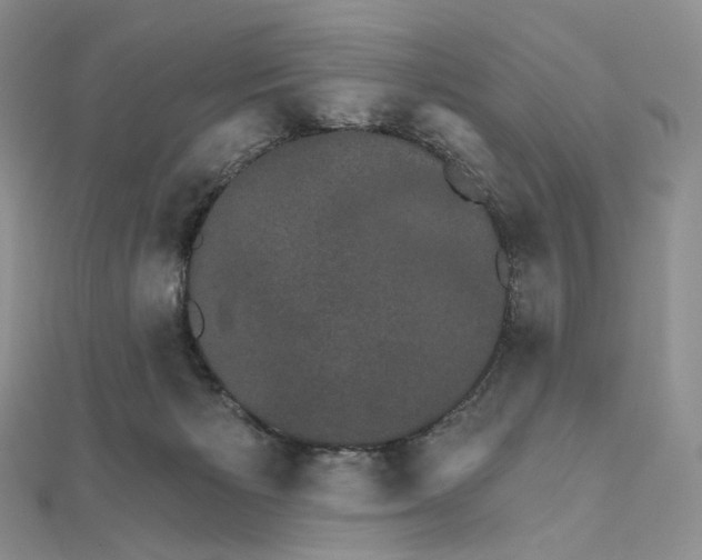 X0000111800125200908061206