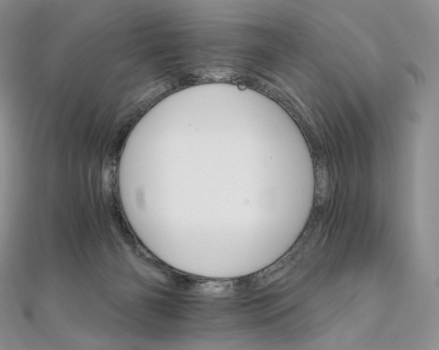 X0000111800126200908061206