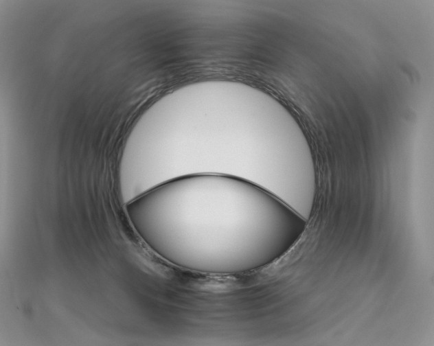 X0000111800128200908061206