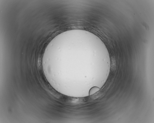 X0000111800130200908061206