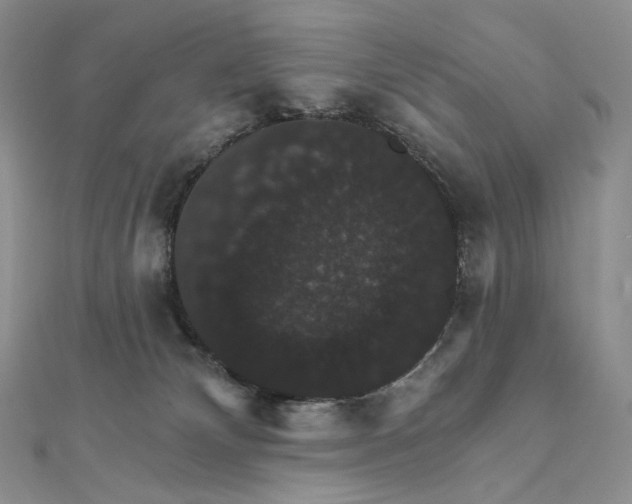 X0000111800132200908061206