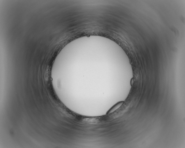 X0000111800133200908061206