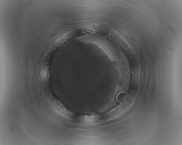 X0000111800134200908061206