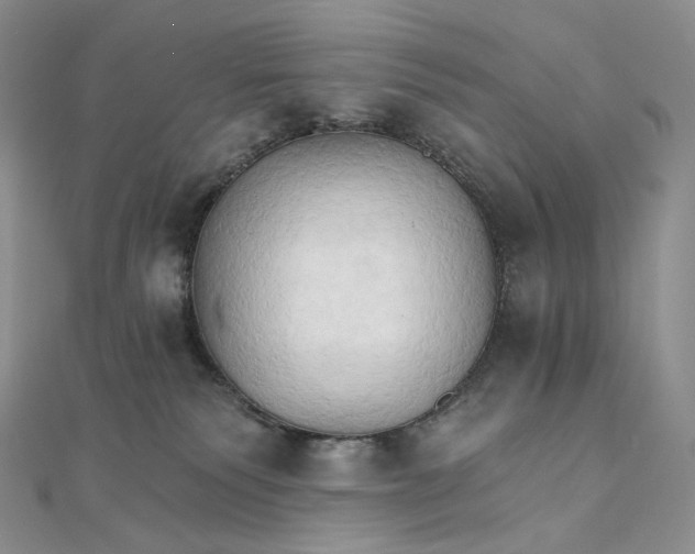 X0000111800135200908061206