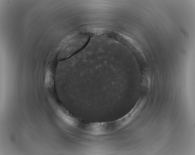 X0000111800136200908061206
