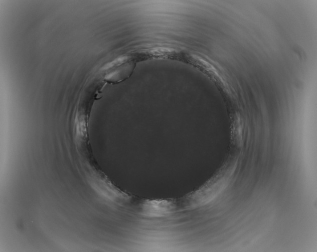 X0000111800137200908061206