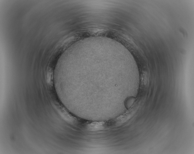 X0000111800138200908061206