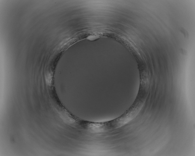 X0000111800139200908061206