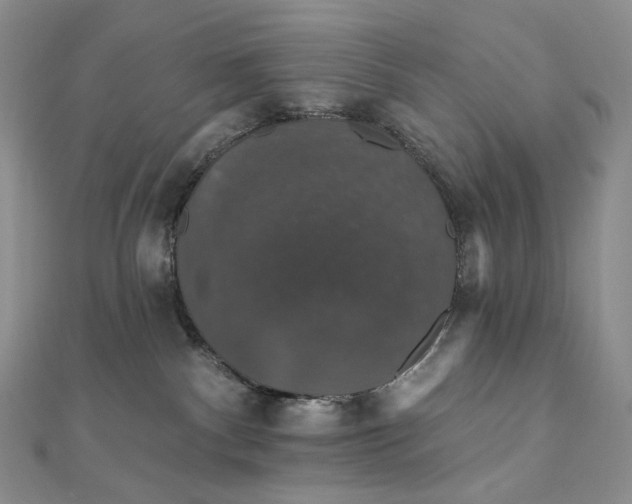 X0000111800140200908061206