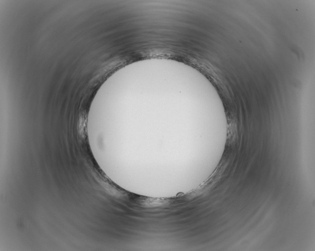 X0000111800142200908061206