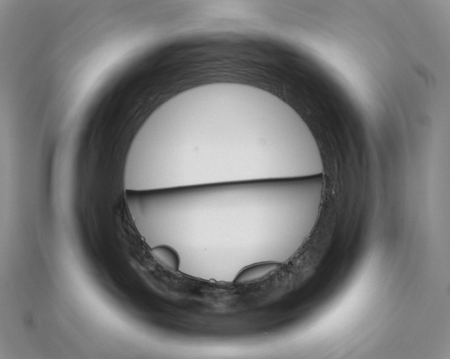 X0000111800143200908061206