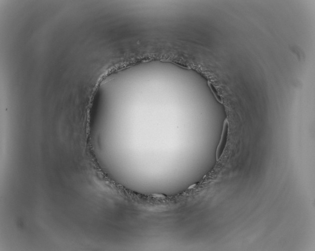 X0000111800144200908061206