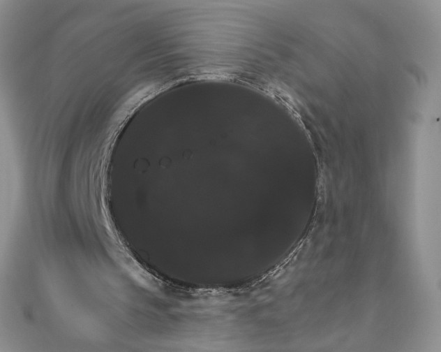 X0000111800145200908061206
