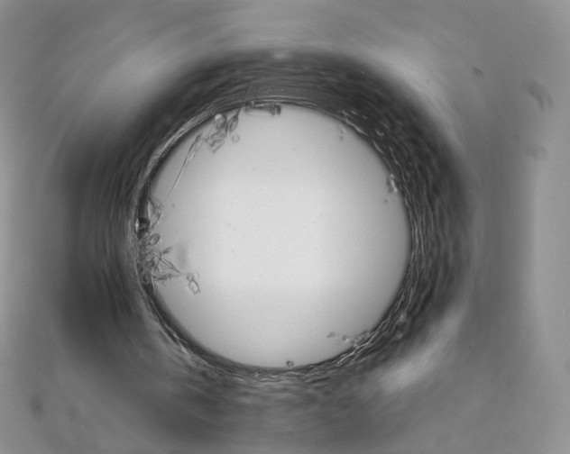 X0000111800146200908061206