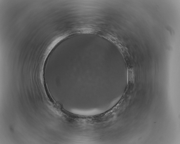 X0000111800147200908061206