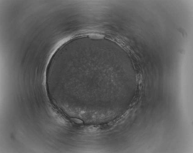 X0000111800148200908061206