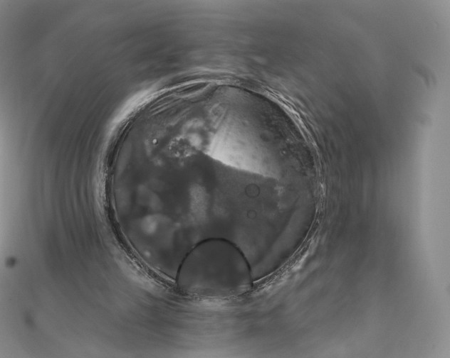 X0000111800149200908061206
