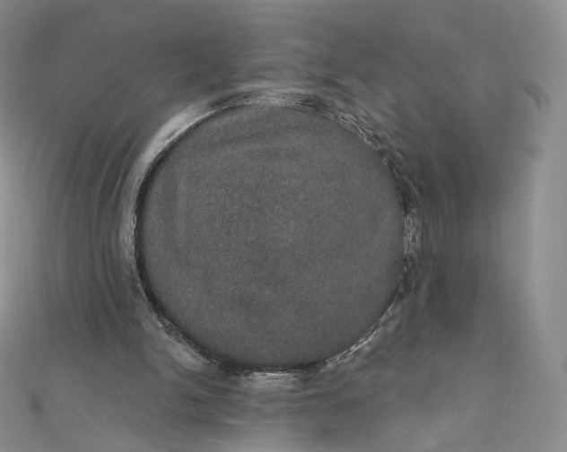 X0000111800150200908061206