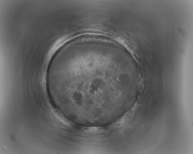 X0000111800151200908061206