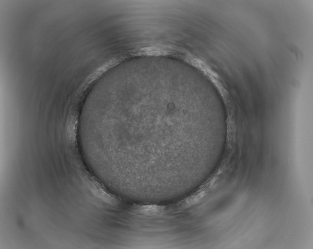 X0000111800153200908061206