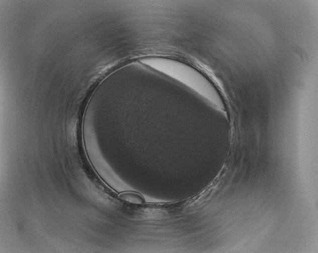 X0000111800154200908061206