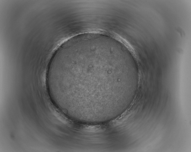 X0000111800155200908061206