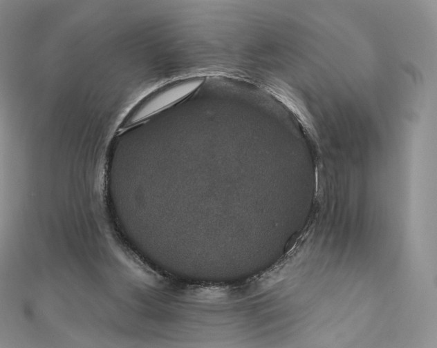 X0000111800156200908061206