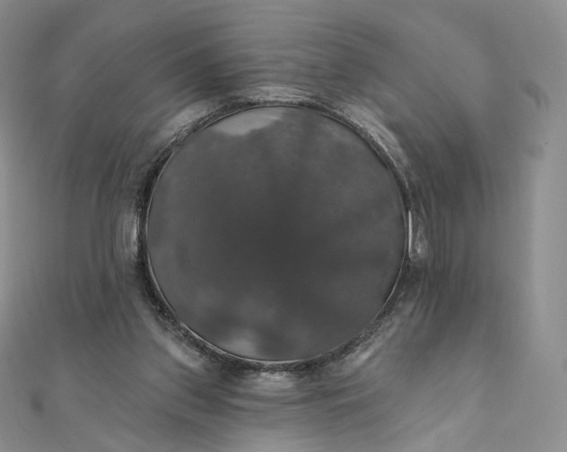 X0000111800157200908061206