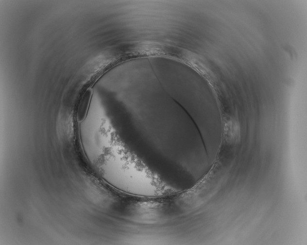 X0000111800158200908061206
