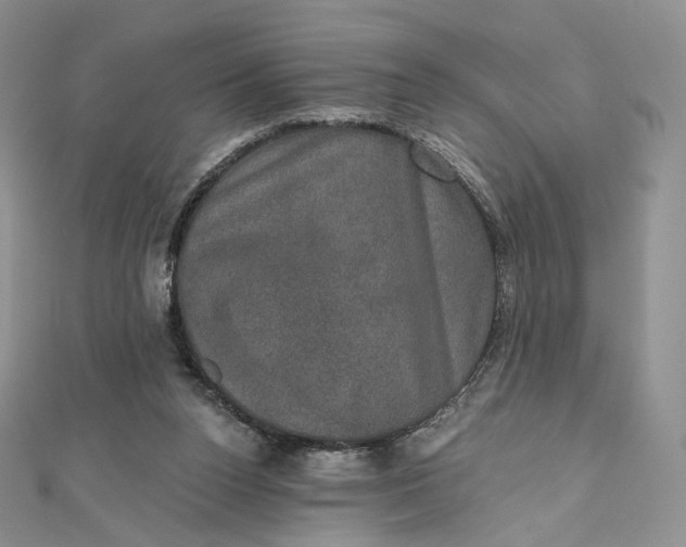 X0000111800160200908061206