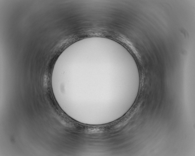X0000111800161200908061206