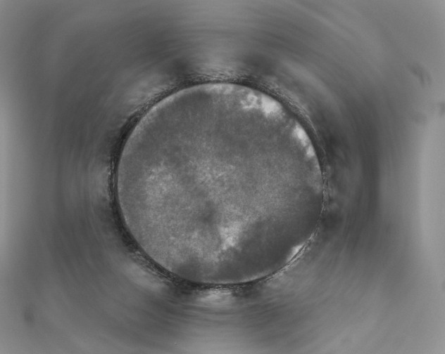 X0000111800162200908061206