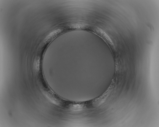 X0000111800163200908061206