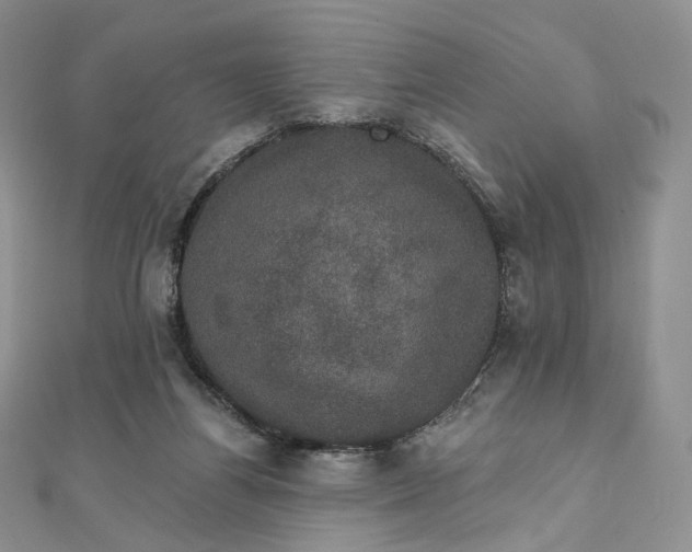 X0000111800164200908061206