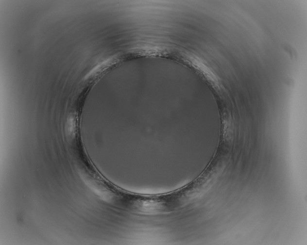 X0000111800165200908061206