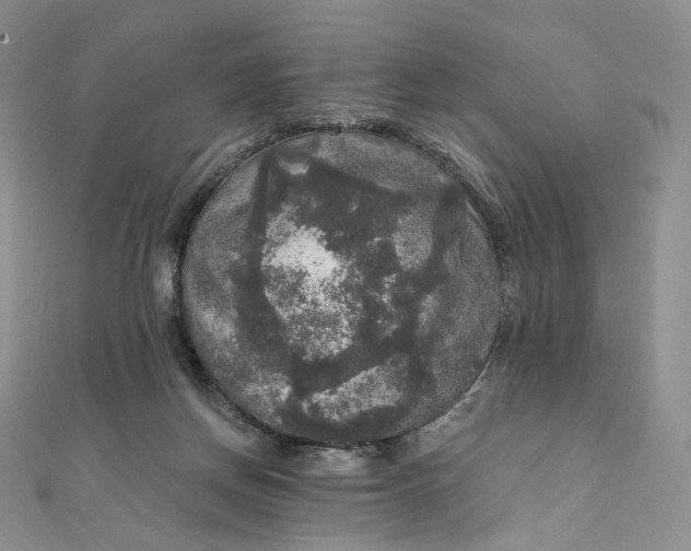 X0000111800166200908061206